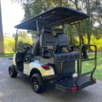 Voyager 4-Passenger Non-Lifted Golf Cart Rental Rear View | Bazen Golf Cars